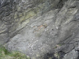 Rocce di magnetite e di pietra ollare al cippo n.2 del Belvedere Alto (34371 bytes)